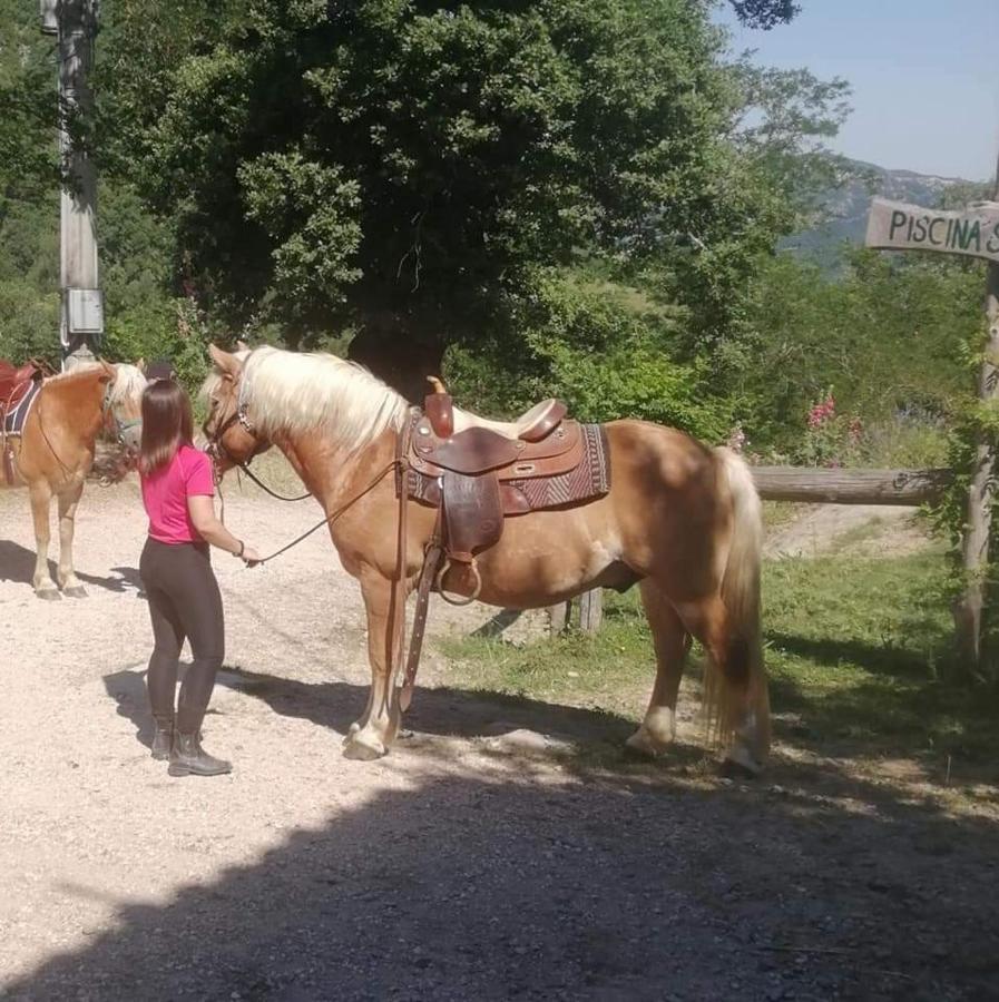 Monte Termine Country House Rioveggio Eksteriør billede